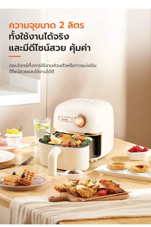หม้อทอดไร้น้ำมัน 2