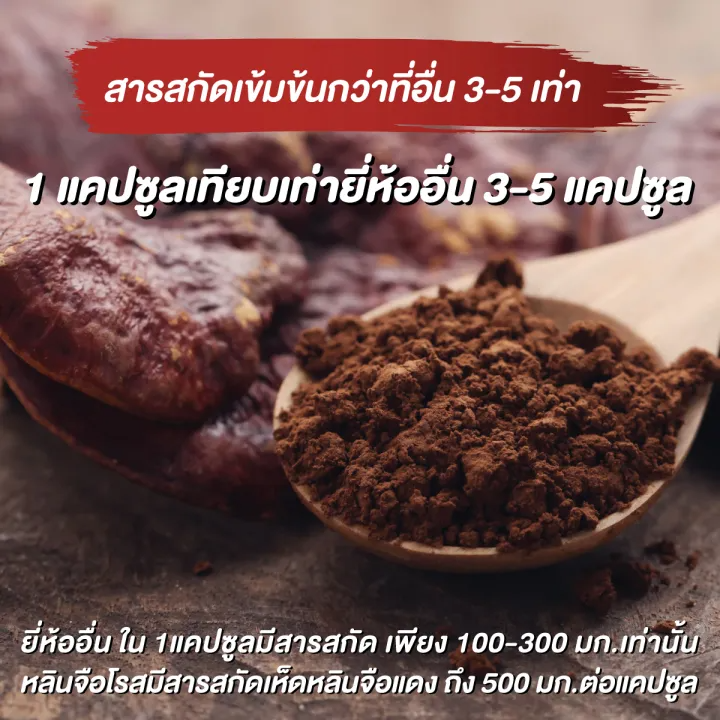 เห็ดหลินจือแดงสกัด 500 mg + โรสฮิปสกัด 3