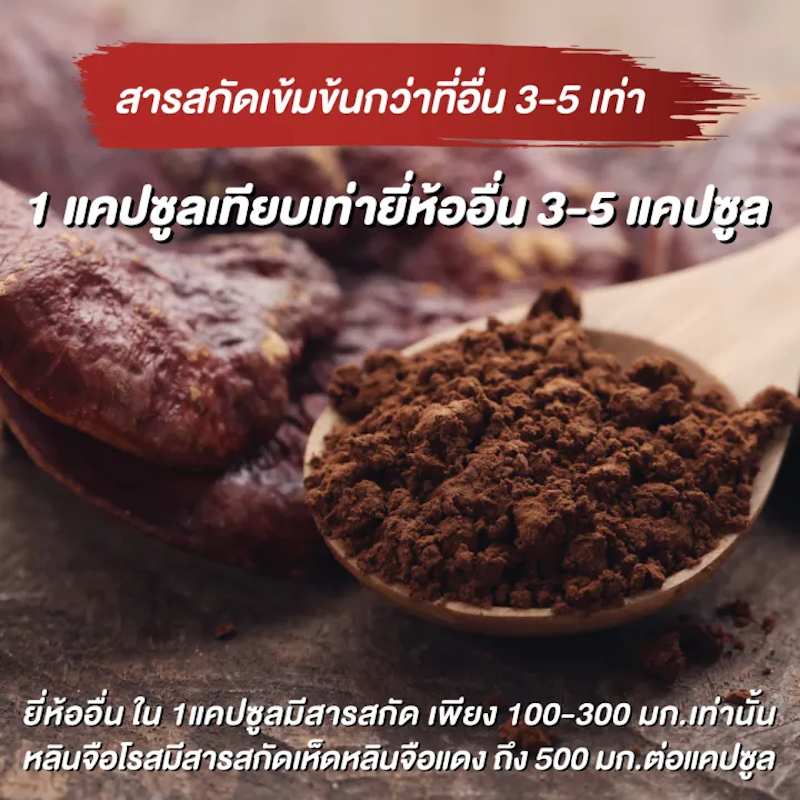 เห็ดหลินจือแดงสกัด 500 mg + โรสฮิปสกัด 3