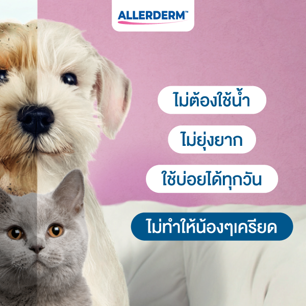 Allerderm Foam โฟมอาบแห้งแมว 3