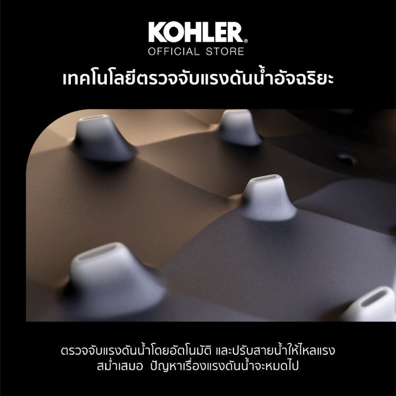 หัวฝักบัวแบบทรงกลม Watermind Technology Round Handshower 3
