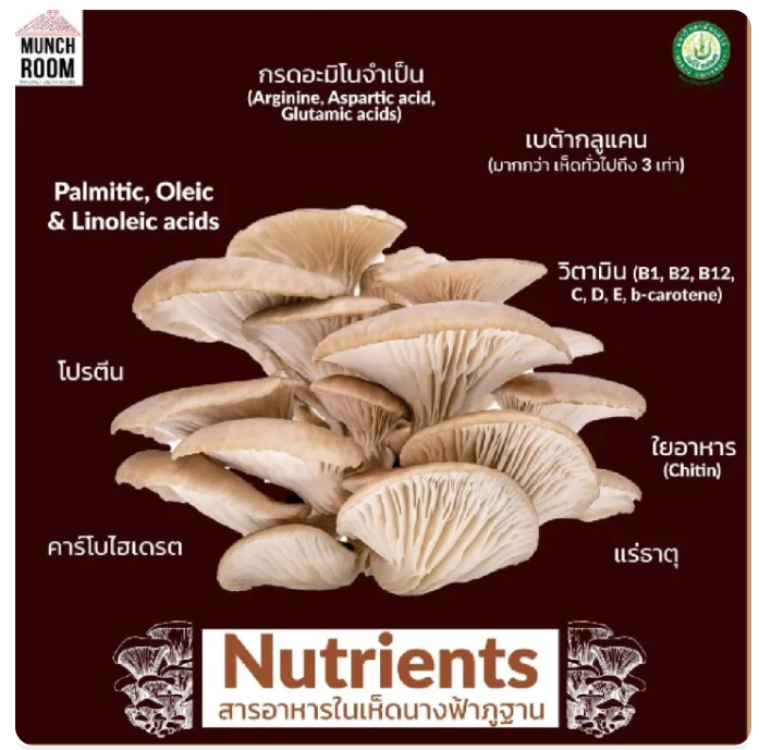 เห็ดอบกรอบ รส เห็ดผสมงา 3
