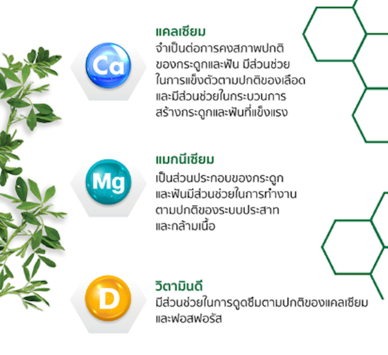 Nutrilite Cal Mag D 2