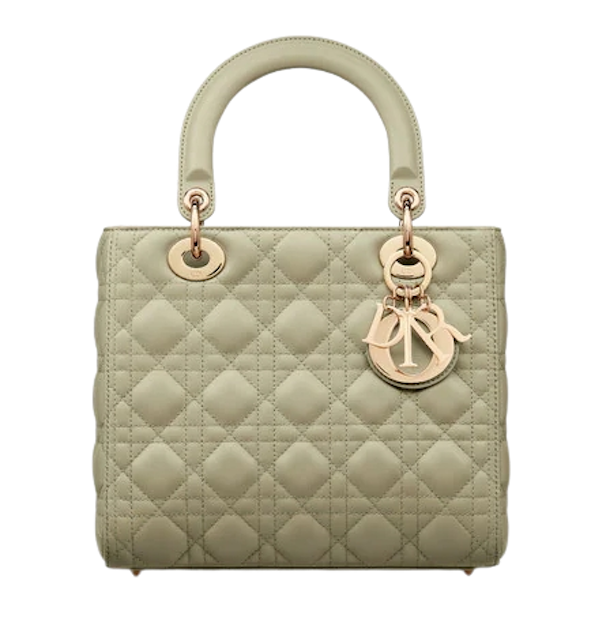 Lady Dior  8