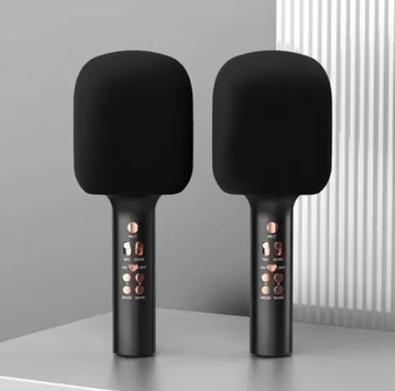 Wirless Microphone HiFi Speaker 2
