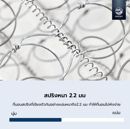 ที่นอนสปริงพรีเมี่ยม รุ่น WISDOM X 3