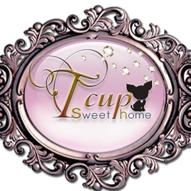 ฟาร์มสุนัข Tcup Sweet Home 1