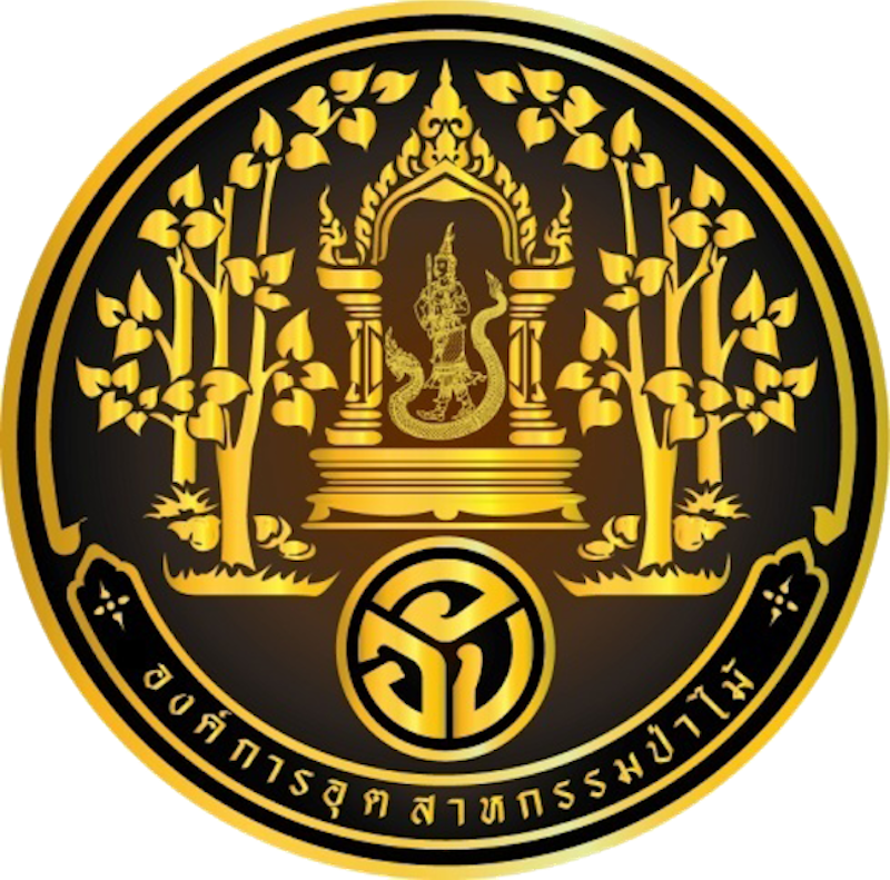 ล่องแพ เชียงใหม่ สวนป่าแม่แจ่ม 1