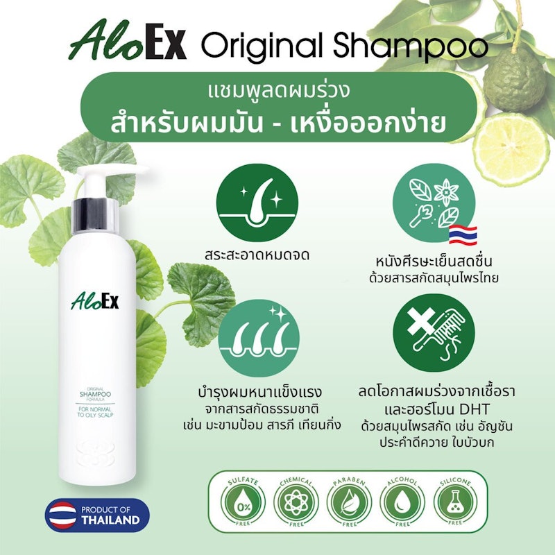 Organic Original Shampoo 2