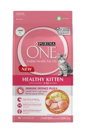 Healthy Kitten Chicken 1