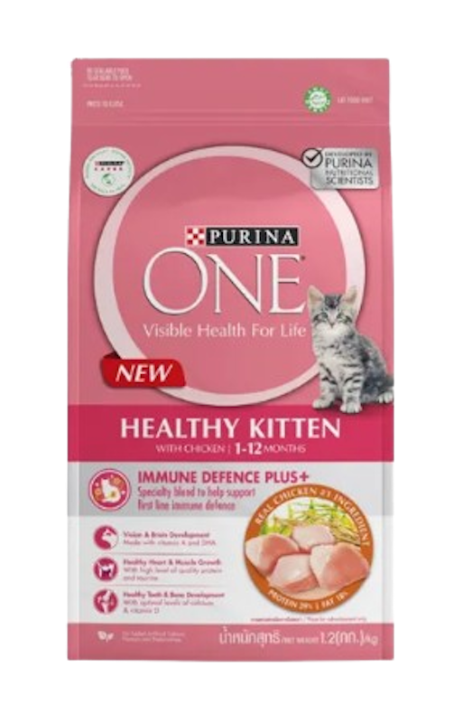Healthy Kitten Chicken 1