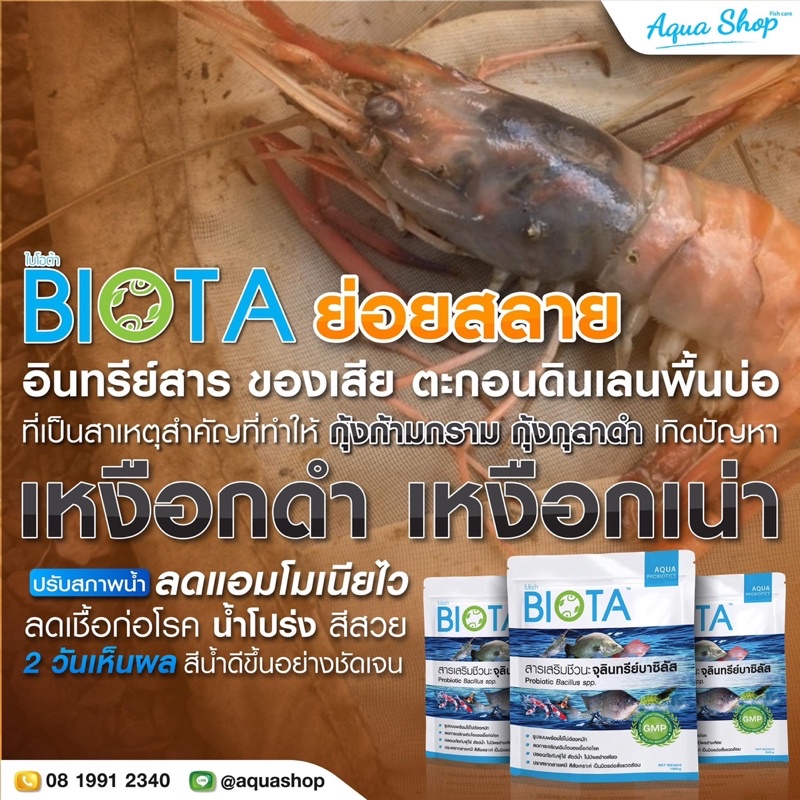 สารเสริมชีวนะ จุลินทรีย์บาซิลัส 3