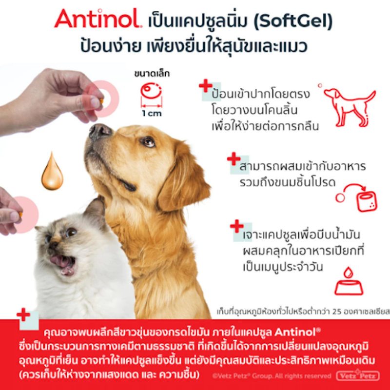 Antinol Dog อาหารเสริมไขมัน บำรุงข้อ สำหรับสุนัข 2