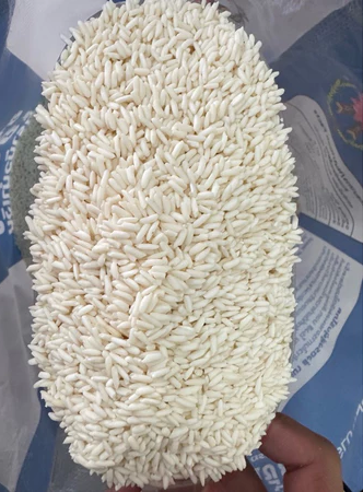 ข้าวเหนียวเขี้ยวงู 3