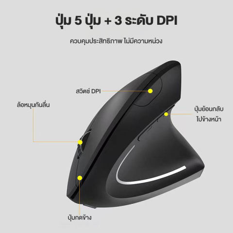 เมาส์ตามหลักสรีรศาสตร์  2
