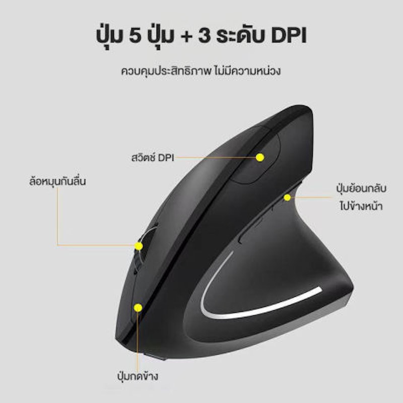 เมาส์ตามหลักสรีรศาสตร์ 2