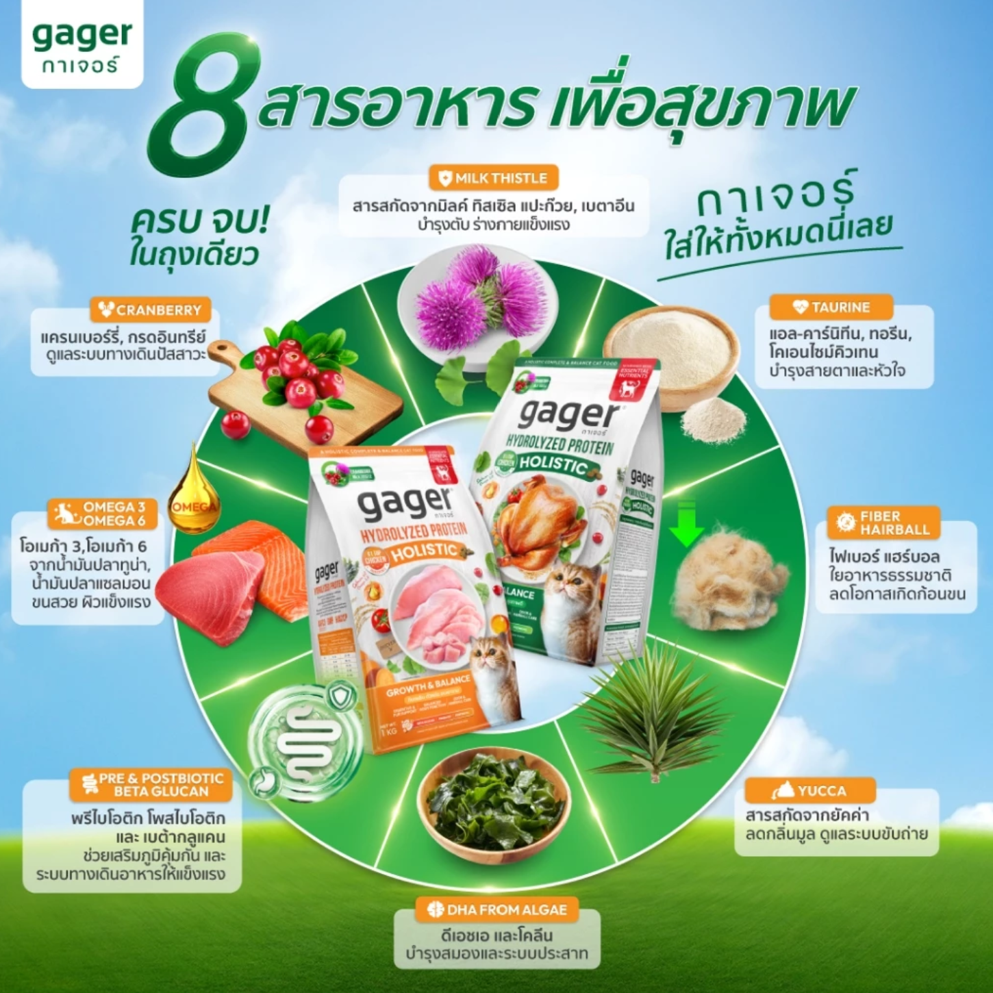 อาหารแมว กาเจอร์ โฮลิสติก สูตรไก่ 2