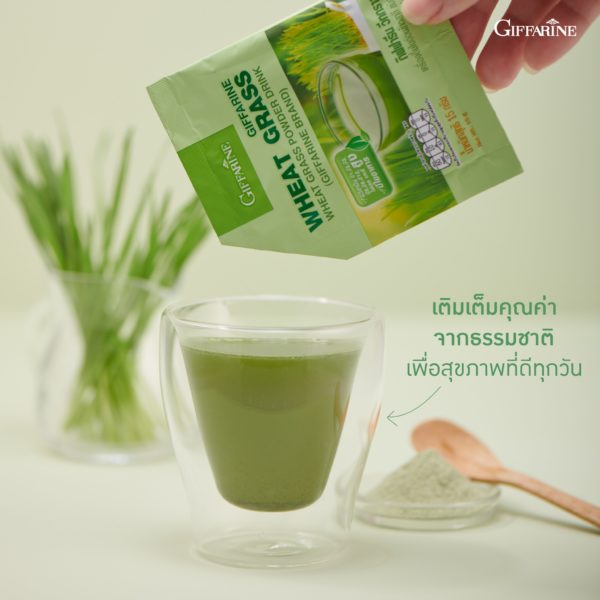 ต้นอ่อนข้าวสาลี Wheat Grass Powder Drink 2