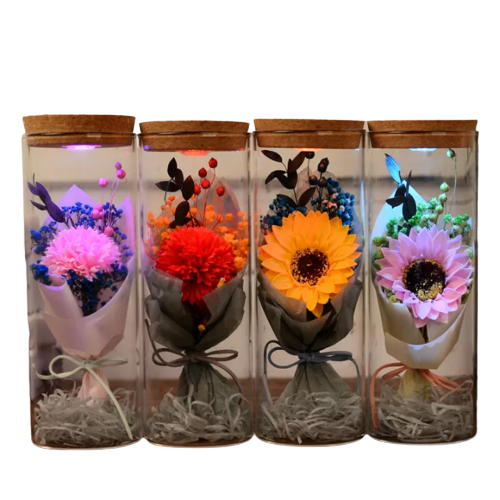 ของขวัญวันปัจฉิม ขวดระบบนิเวศโปร่งใสพร้อมรีโมทคอนโทรล 1
