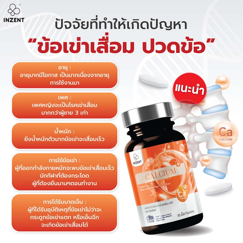 เเคลเซียม Calcium Plus+ 2