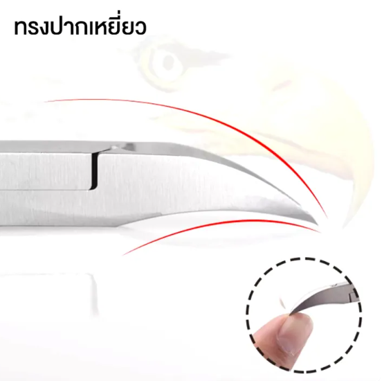 กรรไกรตัดหนัง แบบ 1 3