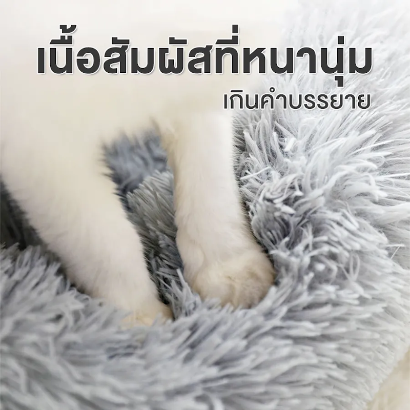 ที่นอนแมว 3