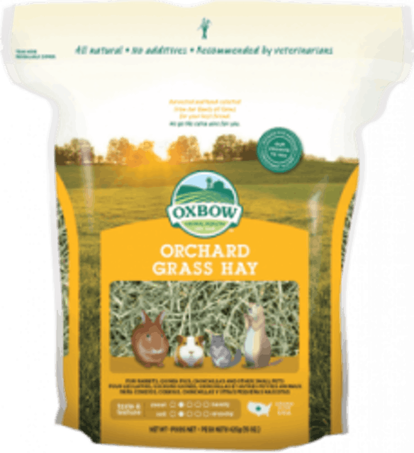 Orchard Grass Hay 1