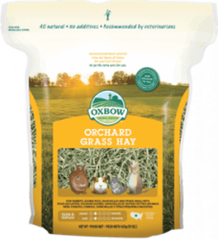 Orchard Grass Hay 1