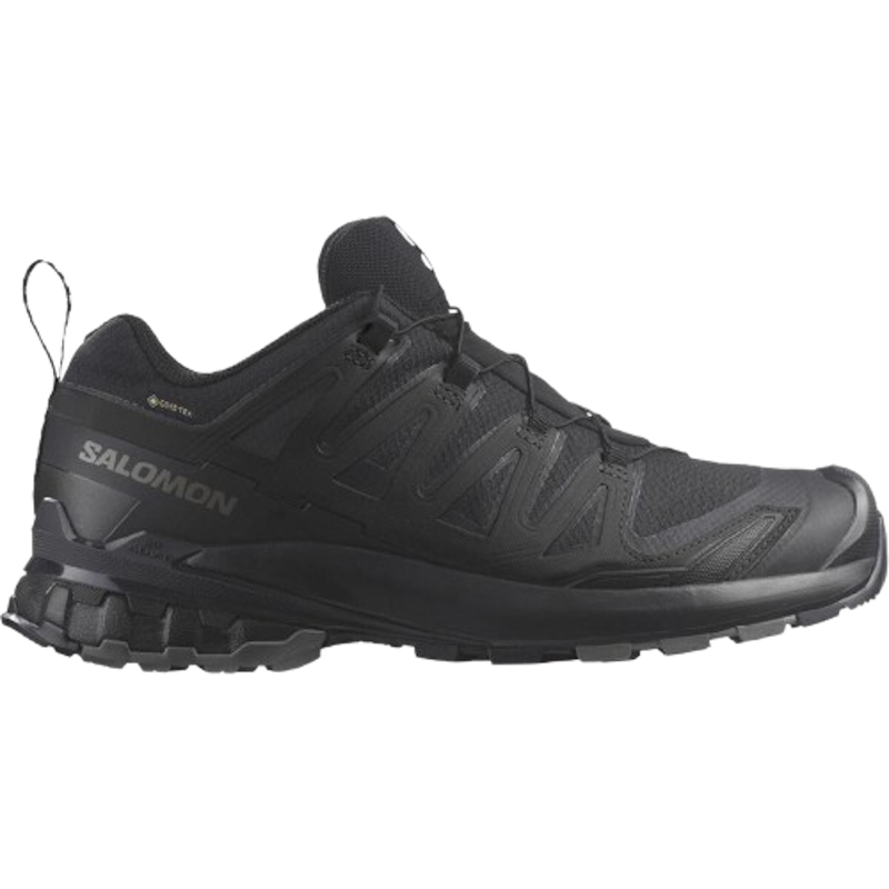 Gore Tex Men Trail Running Shoes XA PRO 3D V9 1