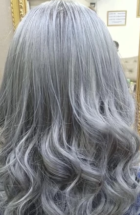 ยาย้อมผมสีเทา Silver 2