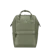 Anello Pasuteru 1