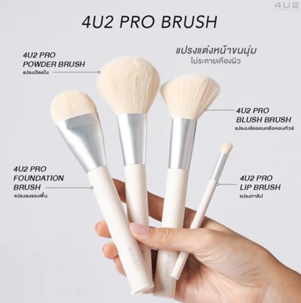 Pro Blush Brush 2