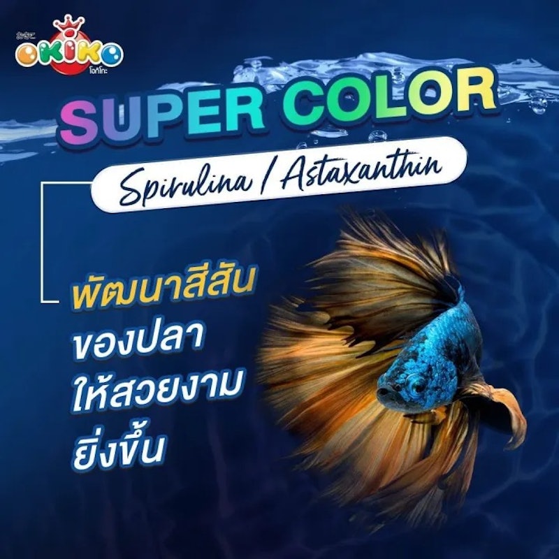 BETTA BRIGHT อาหารปลากัด สูตรพรีเมียม 2