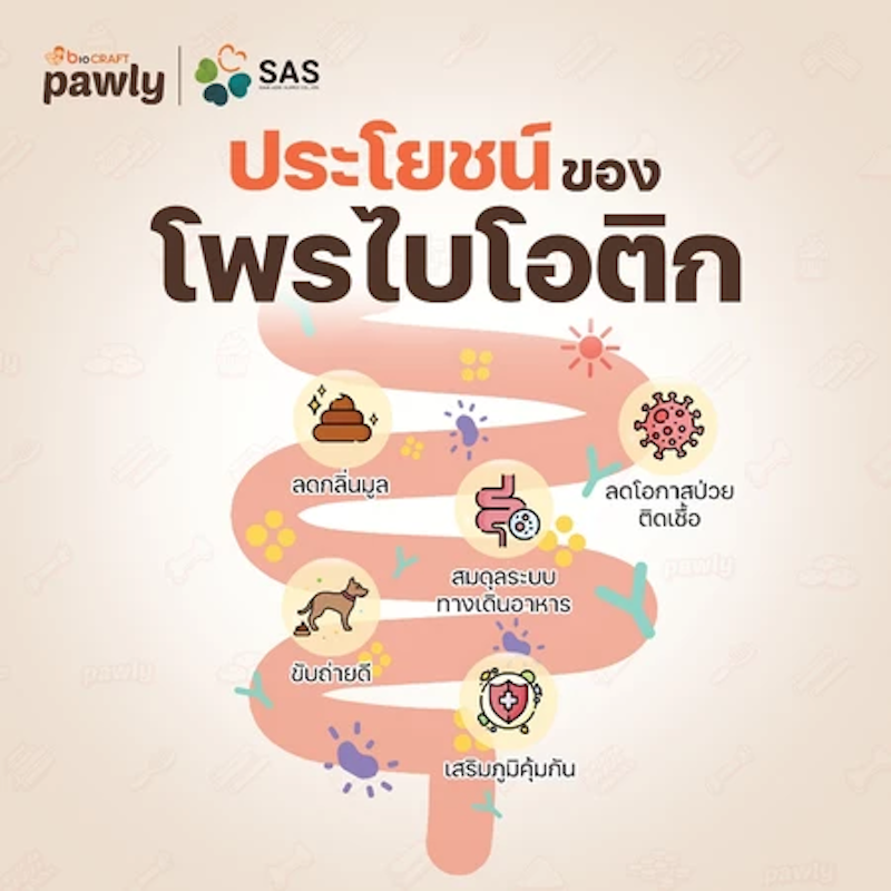 Pro Plus ผงโรยอาหารสำหรับแมว 2