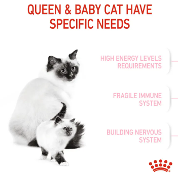 Starter Mother & Baby Cat 3