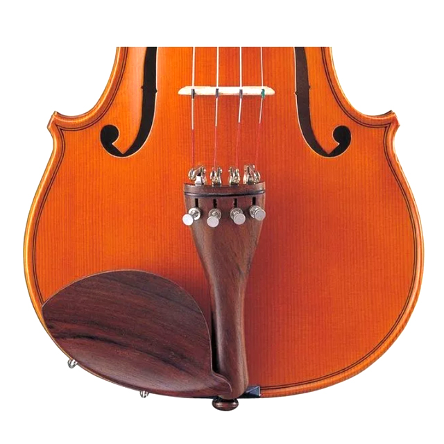 ไวโอลิน Violin 2