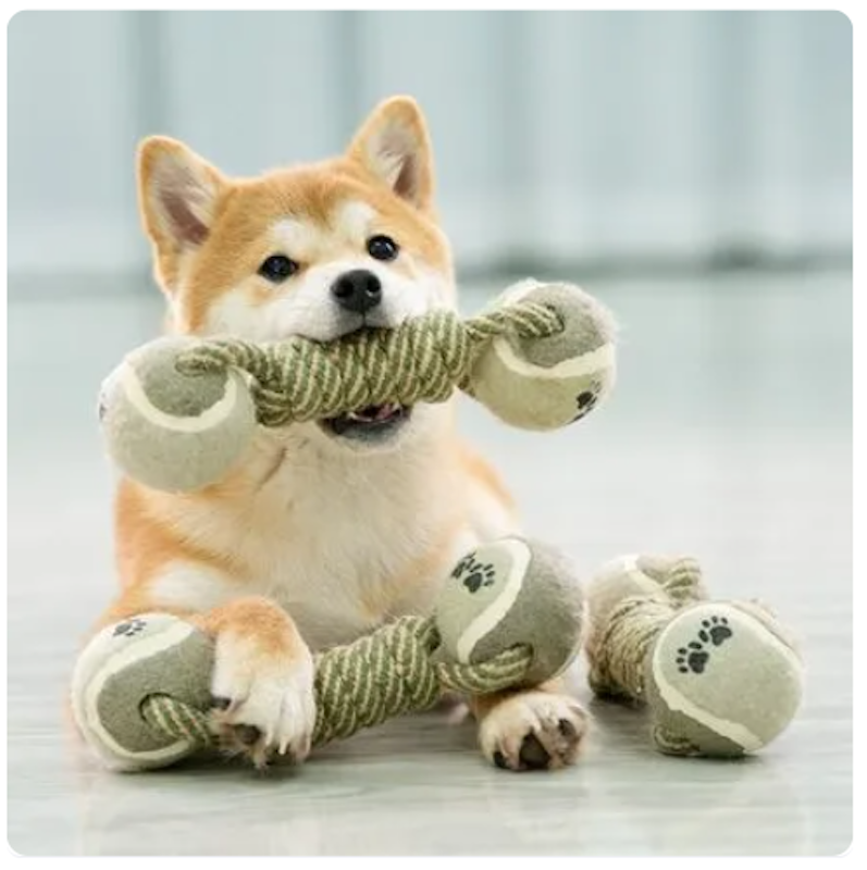 ของเล่นขัดฟันสุนัข 3