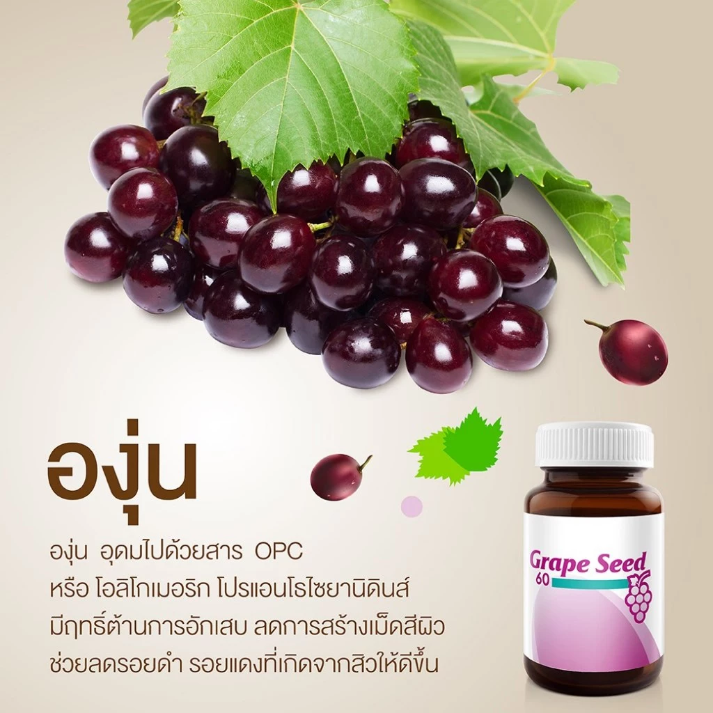 สารสกัดจากเมล็ดองุ่น Grape Seed 3