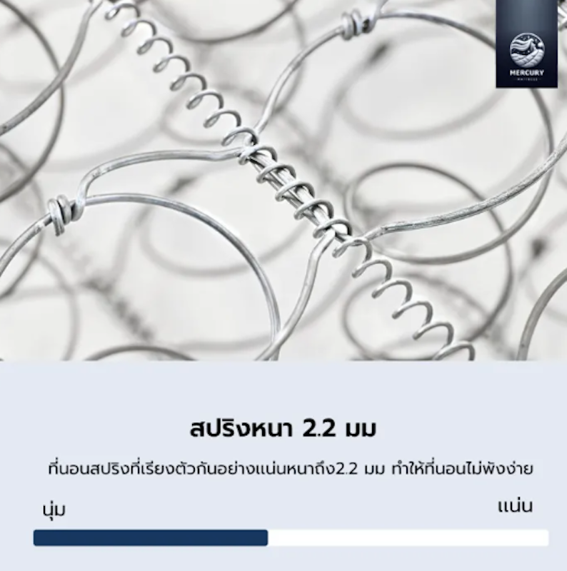ที่นอนสปริง 3.5 ฟุต รุ่น WISDOM X 3