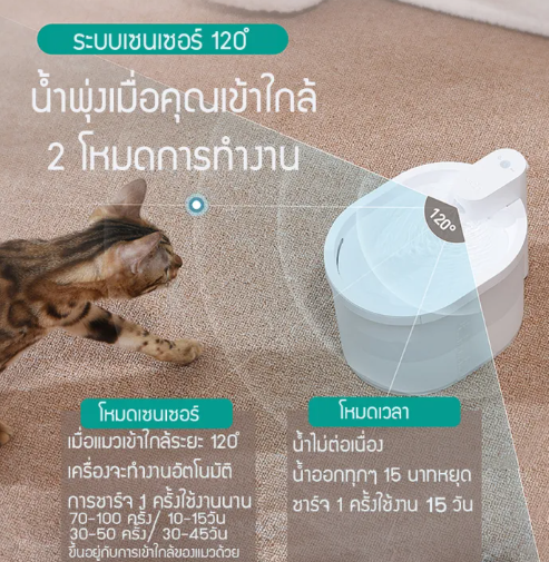 น้ำพุแมวไร้สาย 3