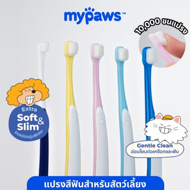 แปรงสีฟันแมว 2