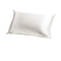 Chowa Mulberry Silk Pillowcase