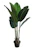 No Brand ต้นไม้ปลอม ต้นปักษาสวรรค์ 1
