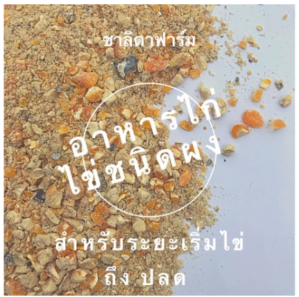 อาหารไก่ไข่ 2