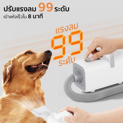 ไดร์เป่าขนสุนัข Pet Blow Dryer Pet Dryer 2