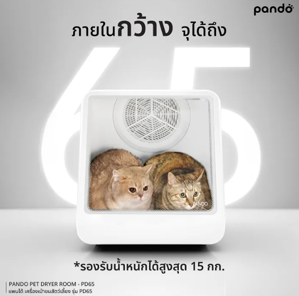เครื่องเป่าขน Pet Dryer Room 3