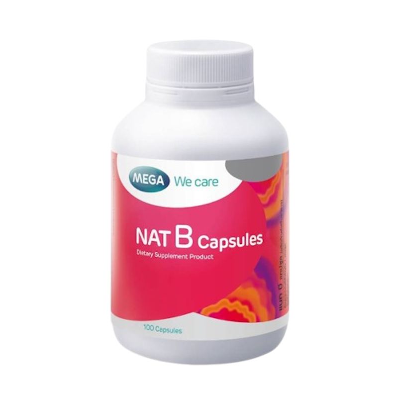 แนทบี NAT B 1