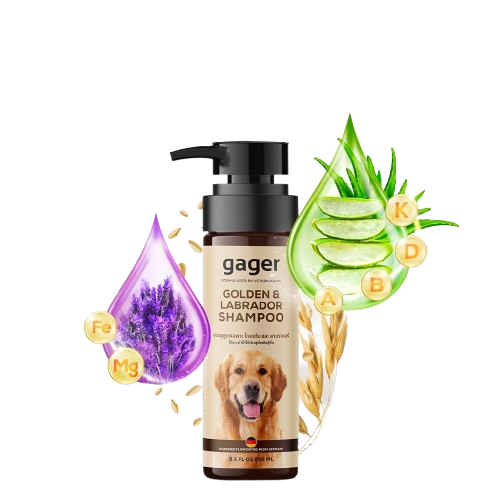 Golden & Labrador Shampoo 2