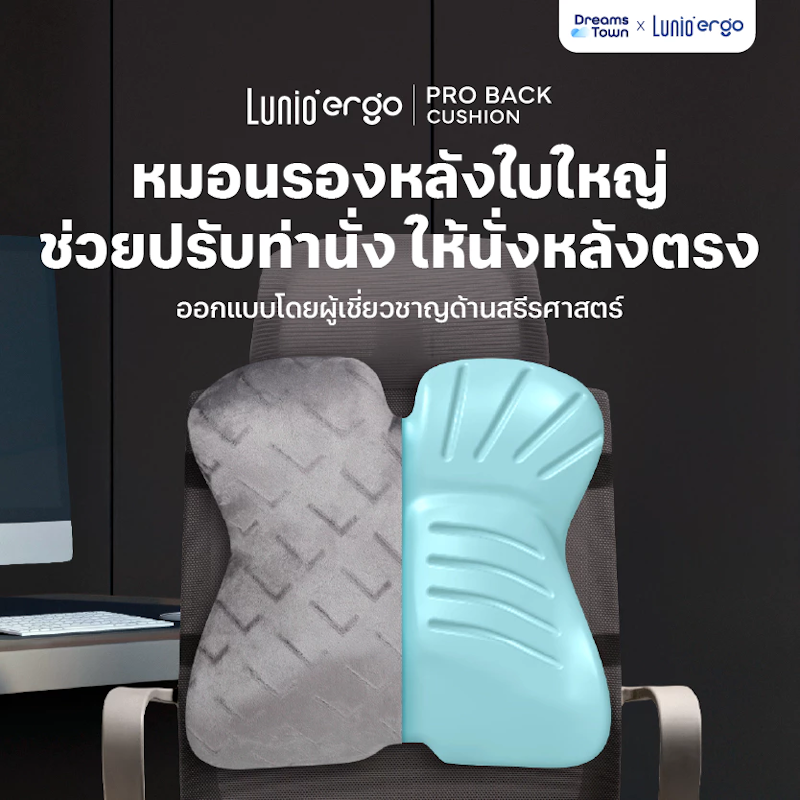 เบาะรองหลัง รุ่น Pro Back Cushion 4