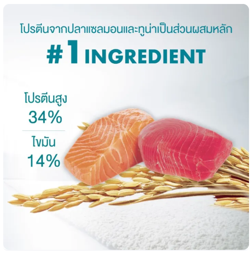 อาหารแมว สูตร Hairball Control 2